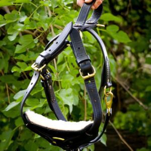 Leather Agitation Harness